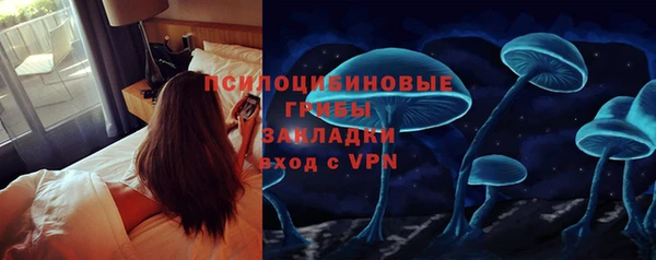 прущие грибы Белоозёрский