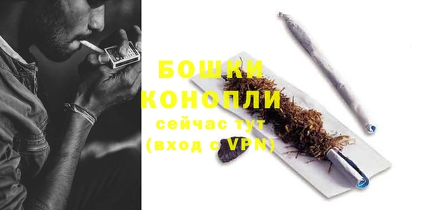 прущие грибы Белоозёрский