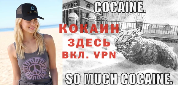 прущие грибы Белоозёрский