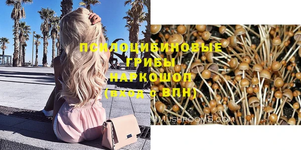 прущие грибы Белоозёрский
