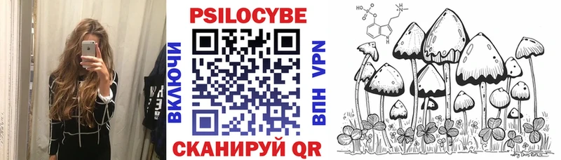 Псилоцибиновые грибы Psilocybine cubensis Бородино